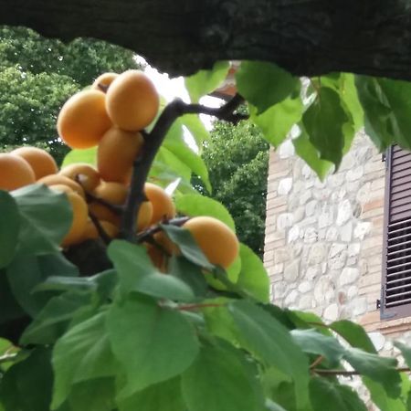 Ai Prati Vecchi Hotel Marsciano Luaran gambar